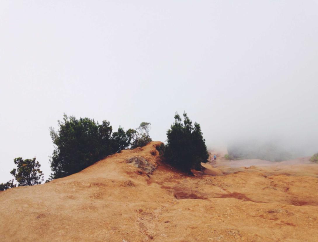 头条手机卡实名账号：0投资招代理平台