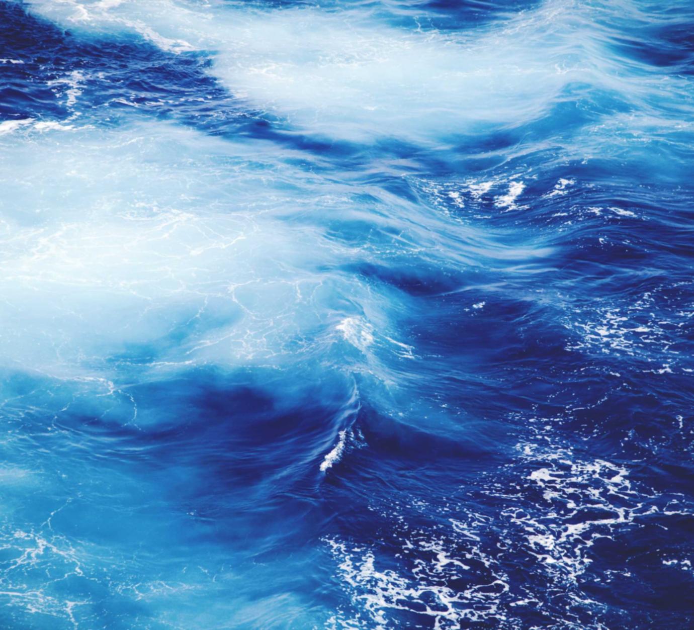 方盒中免红大卫杜夫国际版：整句翻译app详情下载教程