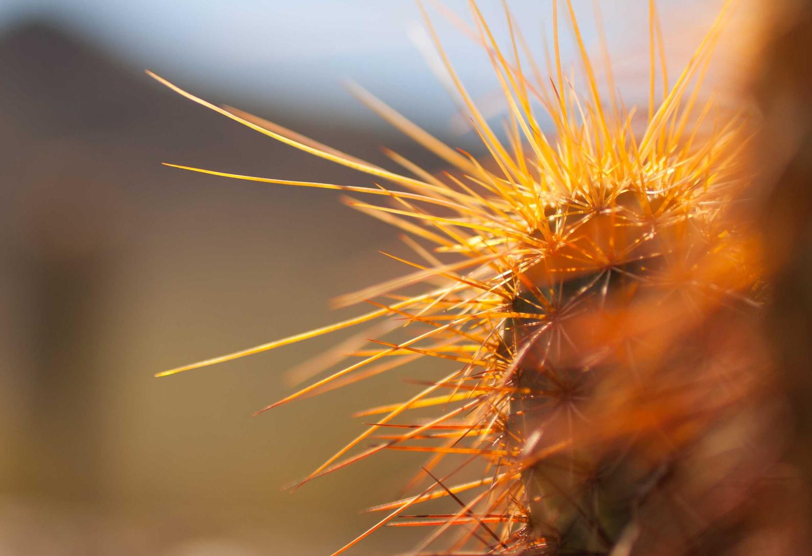 日日顺通信实名账号：app软件详情下载教程网页