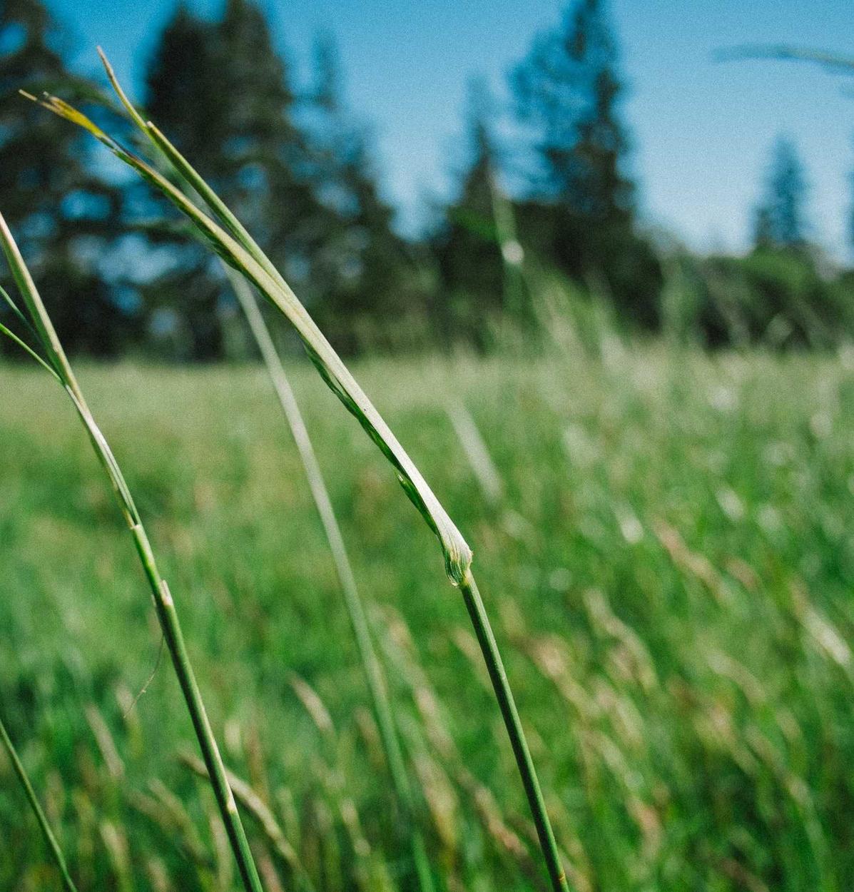 卖vx的网站:实名制政策与数据隐私的联系