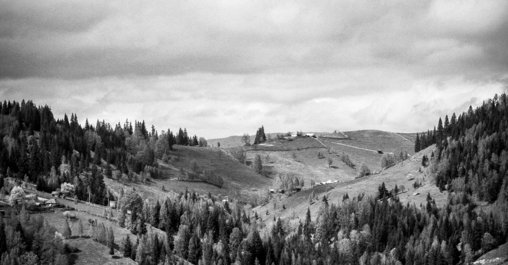 无需实名流量卡:兴动代理平台app