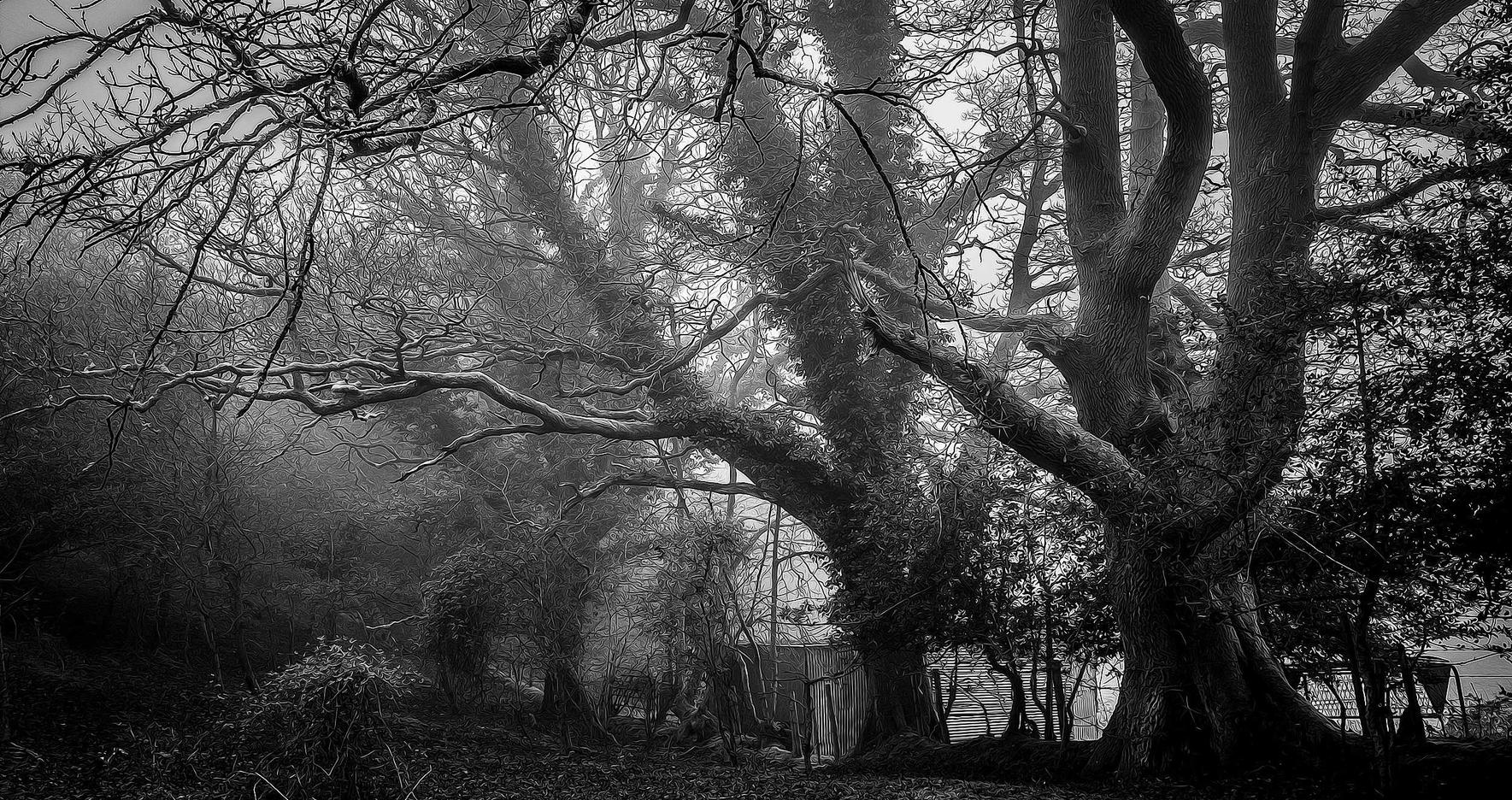 实名流量卡买卖:福瑞达电商平台做代理