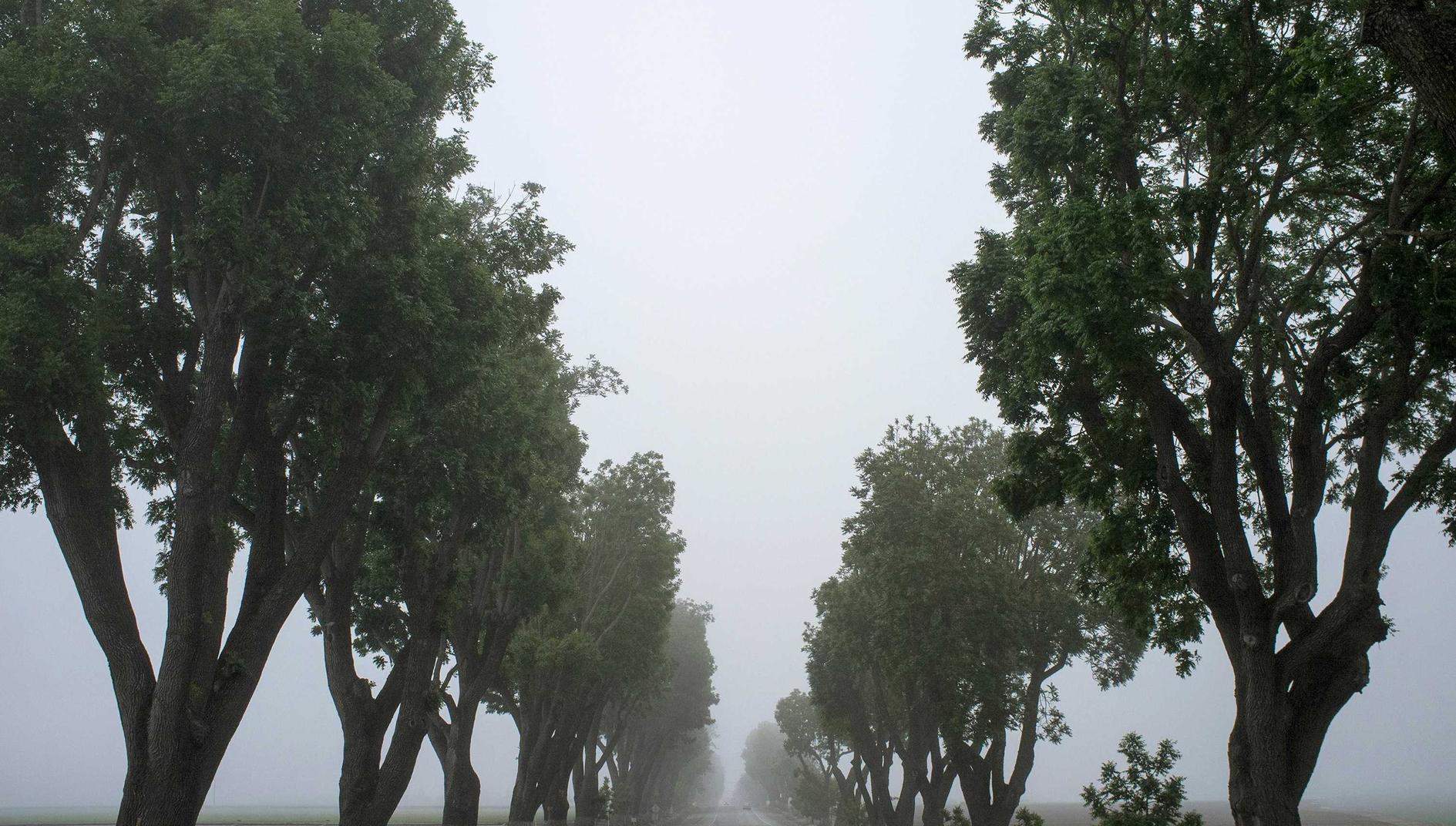 爱用云实名账号:实名认证对于保障网上交友的安全性