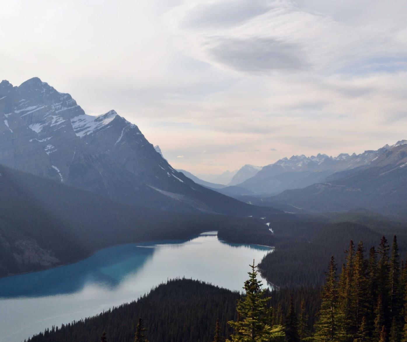 彻底治理技术支持,需要行业内外的协同努力!