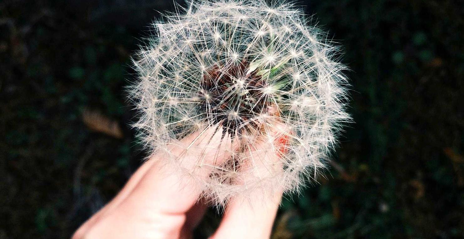 吸烟和高血压的联系