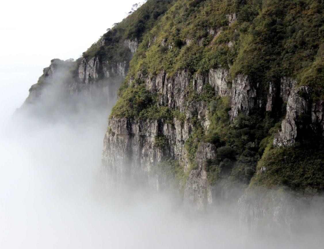 263网络通信实名账号:彩云平台代理